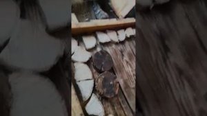 Освещение в бане