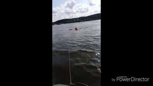 Потянет ли доску мотор Ямаха 6 л.с.