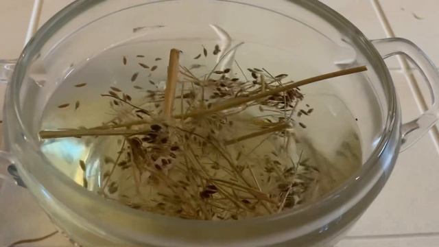 Пожилая соседка, скачет как лошадь!Каждый день пьёт этот целебный отвар смотреть онлайн