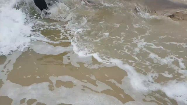 Fishing Eastern Cape- Great Fish Point Lighthouse Near Port Alfred Fishing For Raggies смотреть онлайн