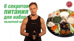 Спортивная диета  6 секретов питания для набора мышечной массы  Владимир Молодов