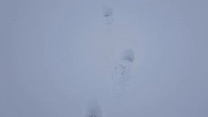 Утиные истории или рыбалка на снегоходах на Волге в Ульяновской области. В конце видео бонус)