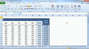 Microsoft Excel 2010 Tutorial: Scrolling With and Without Scroll Bars | K Alliance