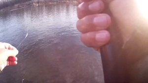Речка Куда 2 часа рыбалки