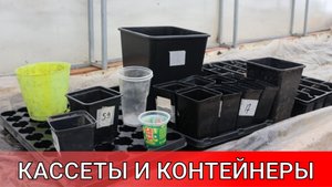 как я выбрал самые удобные кассеты для рассады