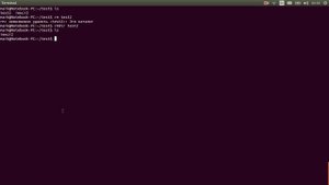 Основы работы в терминале linux ubuntu / xubuntu.