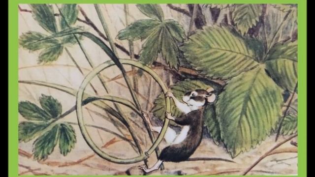 Н. Павлова. Мышонок заблудился. смотреть онлайн