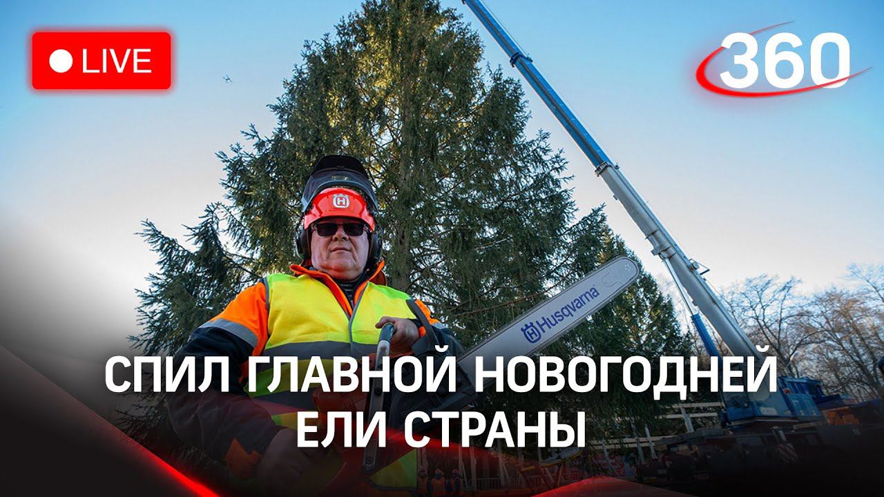 Доставка новогодней ели в Кремль. Прямая трансляция