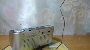 Радиочасы Vitek.