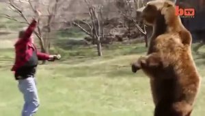 САМЫЙ БОЛЬШОЙ МЕДВЕДЬ ГРИЗЛИ КОТОРОГО Я ВИДЕЛ ! ! !