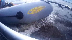 Катабайд Братан 600 + две байдарки на буксире лагом. оз. Балахановское