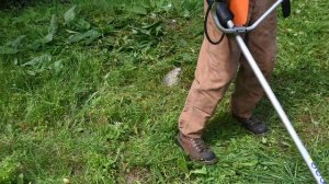 Holzfforma FF541R PRO Brush Grass Trimmer  Cutter 41.5cc with 5 discs