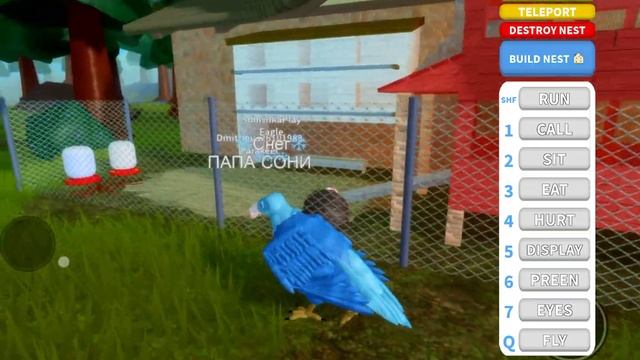 Покупаем БОЛЬШОГО ОРЛА в игре Роблокс Feather Family! смотреть онлайн