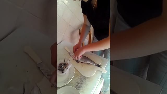 Как правильно разделать селедку смотреть онлайн