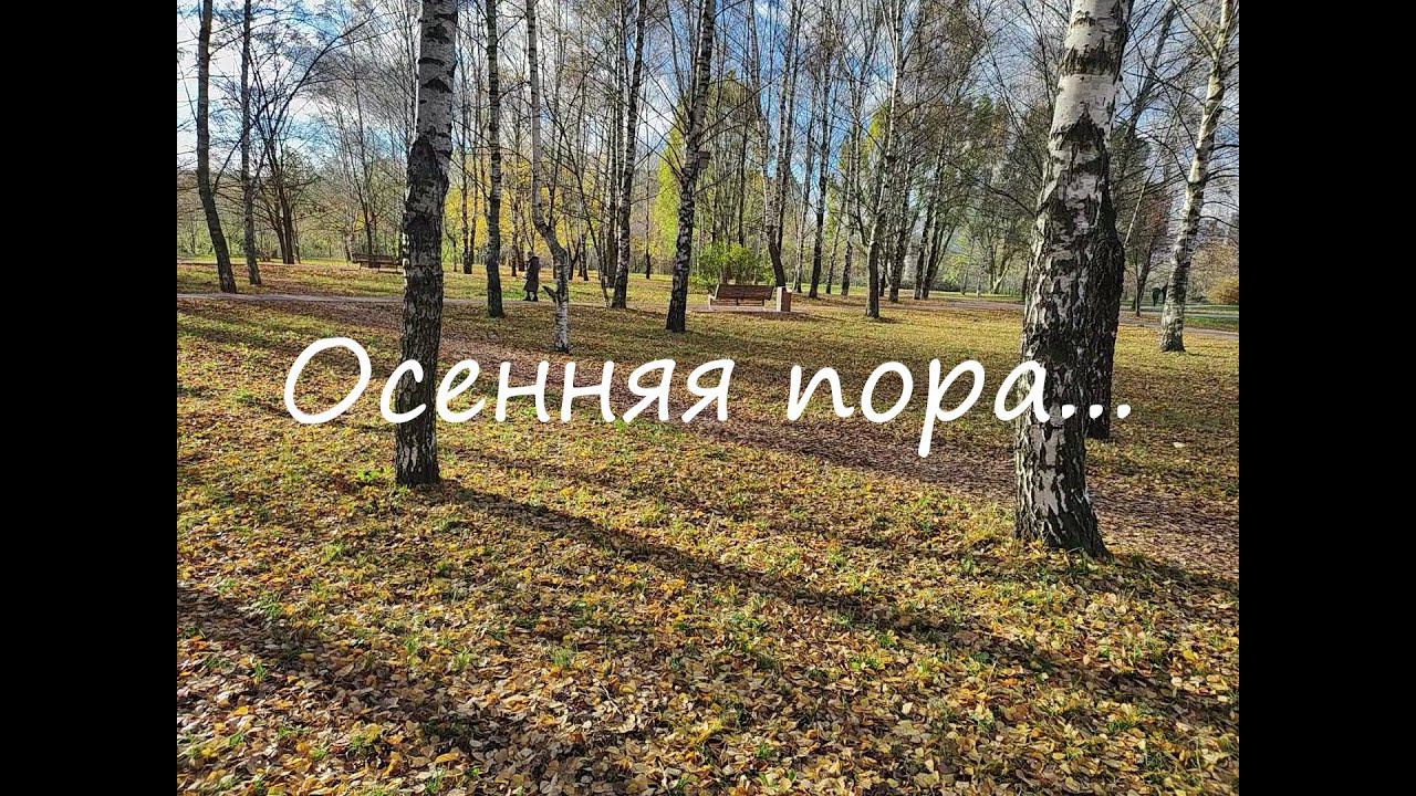 Осенняя пора