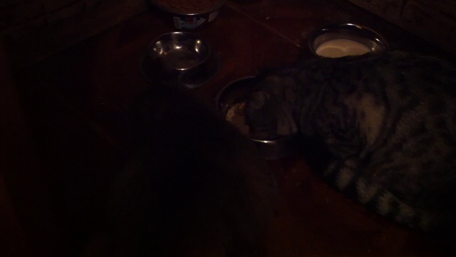 Перекус смотреть онлайн