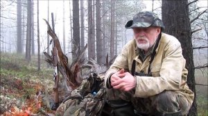 Архив. Фрагмент из видео 2020. О лесе и тайге.  16.02.24.