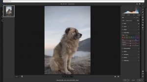 Prezentarea plugin-ului Camera Raw