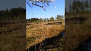 рыбалка весной на озёрах сетями