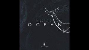 WAYVES × Sirotkin – Ocean