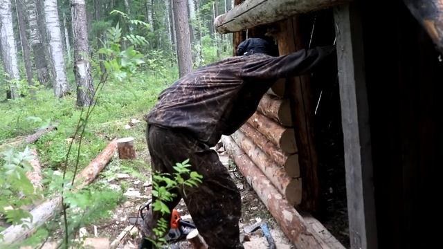 ЛЕСНАЯ ХИЖИНА ИЛИ ОГРОМНЫЙ ШАЛАШ В ГЛУХОЙ ТАЙГЕ БОКОВЫЕ СТЕНЫ ДВЕРЬ ГОТОВЫ! forest hut смотреть онлайн