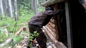 ЛЕСНАЯ ХИЖИНА ИЛИ ОГРОМНЫЙ ШАЛАШ В ГЛУХОЙ ТАЙГЕ БОКОВЫЕ СТЕНЫ ДВЕРЬ ГОТОВЫ! forest hut