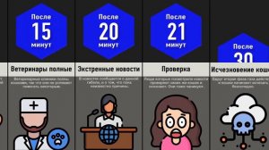 Что, Если Кошки Исчезнут?