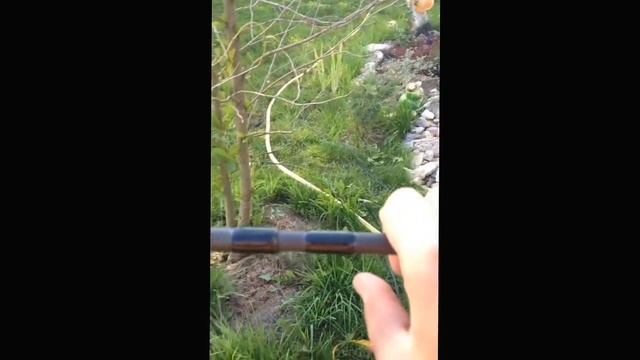 Разъединение колен смотреть онлайн