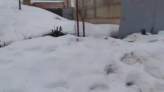 ЗАБРОШЕННАЯ ЖЕЛЕЗНАЯ ДОРОГА В БАЛАШИХЕ