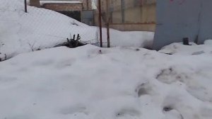 ЗАБРОШЕННАЯ ЖЕЛЕЗНАЯ ДОРОГА В БАЛАШИХЕ