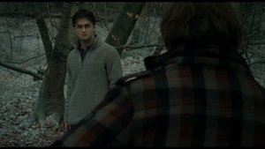 Гарри Поттер и Дары Смерти ч.2 - Перемирие Рона и Гермионы. Ты последняя задница, Рон Уизли!