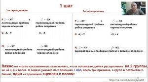 Решаем с чистого листа задачу по генетике 28 на крисс-кросс наследование
