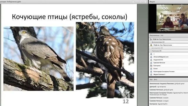 Образовательный экологический вебинар