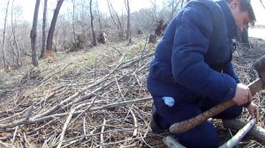 Шалаш на дереве. Часть 1