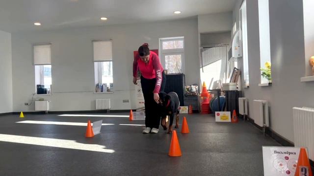 Ралли Обидиенс