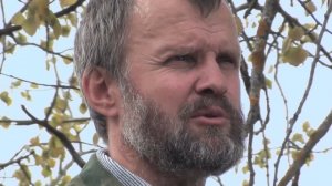 Травовед.  Осина.  Рассказывает Моряков Сергей Викторович