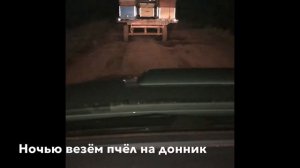 Кочевая пасека, выезжаем на донник