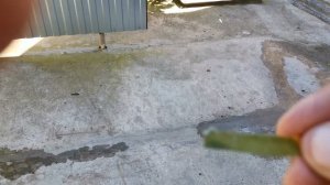 Как я делаю воду для купания голубей.How I make water for swimming pigeons.