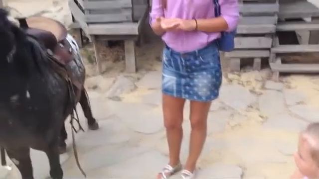 Прекрасный частный зоопарк в одном км от села Горица, Болгария (Часть 1) смотреть онлайн