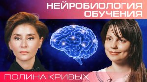 Полина Кривых. Нейробиология обучения