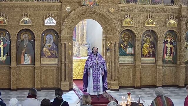 Исцеление расслабленного. Проповедь протоиерея Владимира Хулапа
