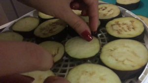 Сушёные баклажаны на сушилке