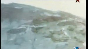 Афера навозной мухи - ХОЛОДНАЯ ВОЙНА