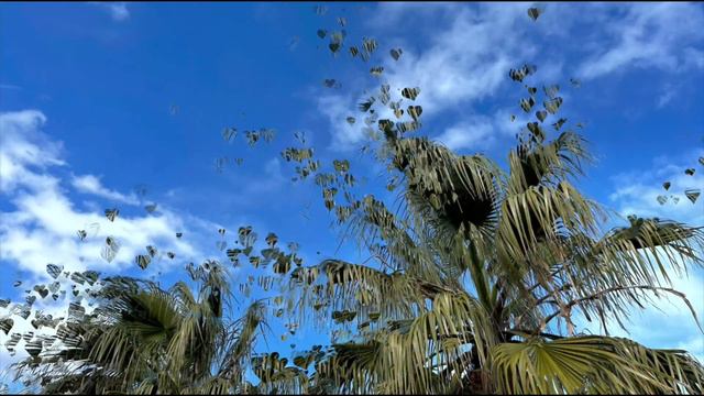 ПУТЬ ВВЕРХ -ПУТЬ ВНИЗ; Дерек Принс; Часть 5 смотреть онлайн