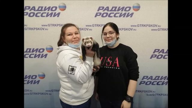 Стартовая площадка. Как ухаживать за домашними хорьками? Выпуск 05.11.2020 смотреть онлайн