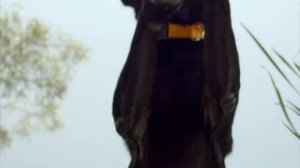 Purina ProPlan OPTINutrition