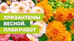 Весенний уход за газоном. Обязательные работы