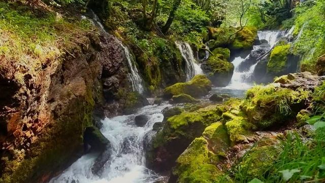 Пение птиц и расслабляющая фортепианная музыка сочетаются в красивой природе ? 9 смотреть онлайн