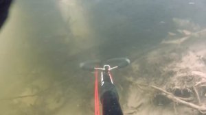 Подводная охота для чайников. река Вожа.