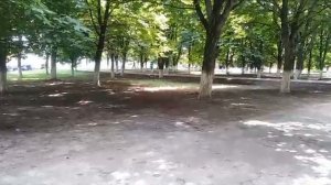 Про Сидорова Вову |Фильм